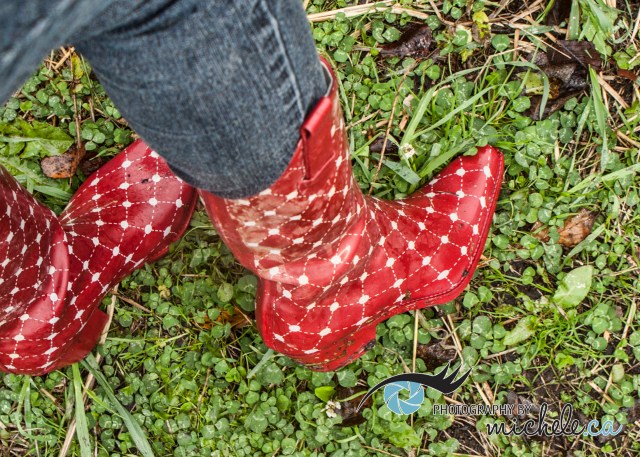 red cowboy boots