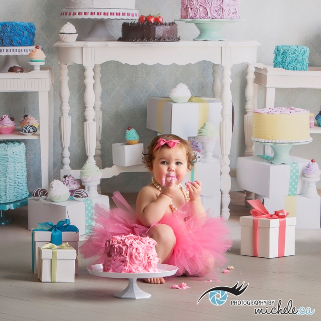 first birthday portrait - photography by Michele 