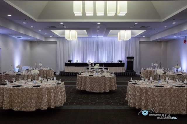 winnipegwedding-photographybymichele-Hilton